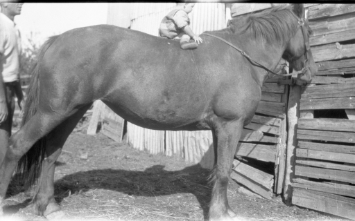 1932 Scanned Negatives BB114.jpg