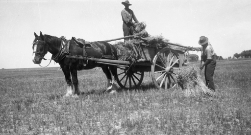 1940 Farm workers SN BB061.jpg