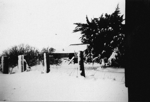 1945 08 Old House from the sheds.jpg