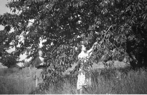 1948 12 Scanned Negatives BB065.jpg