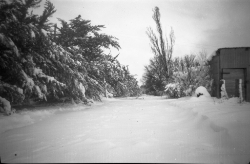 1950 08 Emmaville laneway in snow SN BB092.jpg