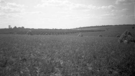 1950 12 Emmaville from the Hill SN BB089.jpg