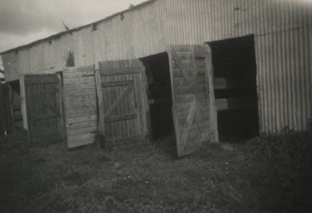 1950 Big Yard Pict0088.JPG