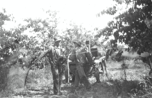 1950 Bob & Jim spraying with horse.jpg