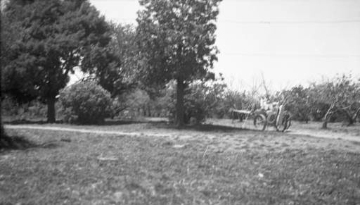 1950 Scanned Negatives BB132.jpg