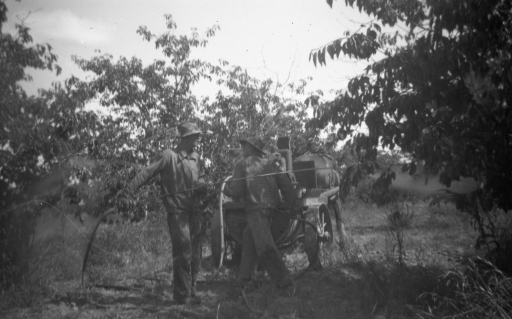 1952 11 Scanned Negatives BB076.jpg