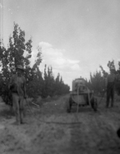 1952 11 Scanned Negatives BB138.jpg