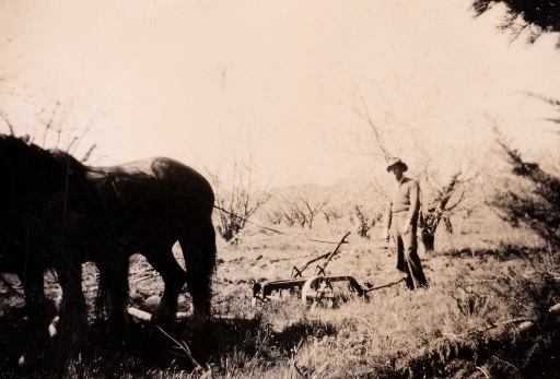 1952 Jim with plough and horses.jpg