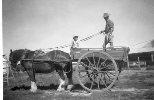 1959 Mark and Bob in dray with Darky SN BB060.jpg