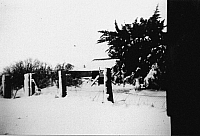 1945 08 Old House from the sheds.jpg