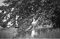 1948 12 Scanned Negatives BB065.jpg