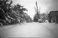 1950 08 Emmaville laneway in snow SN BB092.jpg