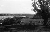 1950 Big Yard From 'Emmaville Old House to Canobolas.jpg