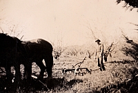 1952 Jim with plough and horses.jpg