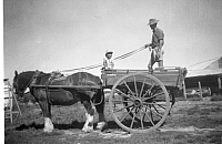 1959 Mark and Bob in dray with Darky SN BB060.jpg